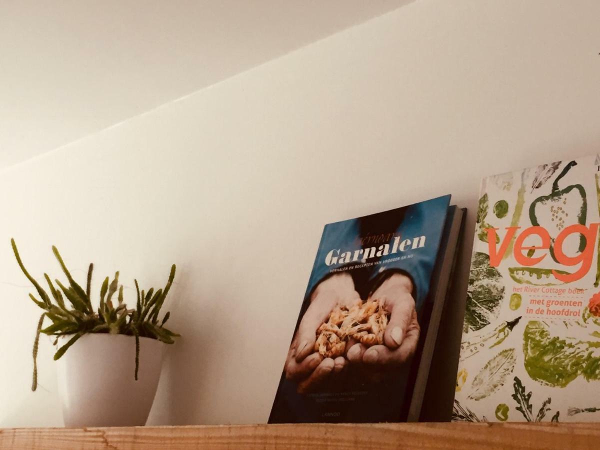 De Veldmuis, Met Mooie Speelhoek En Speelhuis 科克赛德 外观 照片